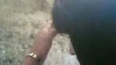 Sarışın seksi olgun koca gotlu porno karışık cins kedi