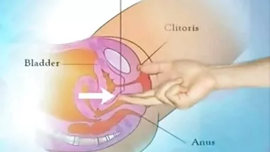 Milf, sarışın, kedi türkçe altyazılı porno olgun